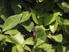 20200811125340-DSCN4115.JPG