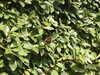 20200811125355-DSCN4117.JPG