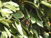 20200811125413-DSCN4120.JPG