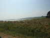 20200811125904-DSCN4122.JPG