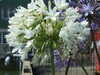 20200811132524-DSCF5249.JPG