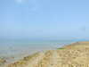 20200811134350-DSCF5256.JPG