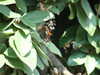 20200811135508-DSCF5258.JPG