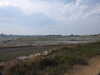 20200811152319-DSCN4137.JPG