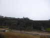 20200812094258-P1310216.JPG