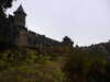 20200812094344-P1310218.JPG