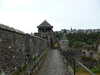 20200812102859-P1310274.JPG