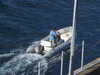 20200815090131-DSCN4147.JPG