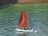 20200815090143-DSCN4149.JPG