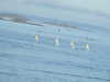 20200815090503-DSCN4159.JPG