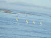 20200815090506-DSCN4160.JPG