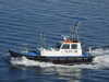 20200815091101-DSCN4175.JPG