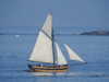 20200815091552-DSCN4182.JPG