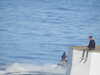 20200815091703-DSCN4183.JPG
