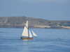 20200815091739-DSCN4185.JPG
