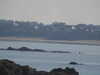 20200815092534-DSCN4206.JPG