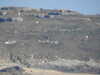 20200815092825-DSCN4210.JPG