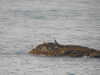 20200815092948-DSCN4214.JPG