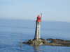 20200815093229-DSCN4224.JPG