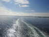 20200815093332-DSCN4228.JPG