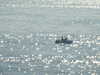 20200815094635-DSCN4262.JPG