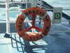 20200815131030-DSCN4265.JPG