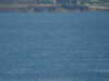 20200815131530-DSCN4271.JPG