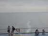 20200815154319-DSCN4302.JPG