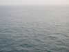 20200815155201-DSCN4304.JPG