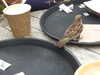 20200901153203-DSCN4359.JPG