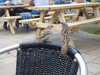 20200901153206-DSCN4360.JPG