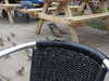 20200901153229-DSCN4361.JPG