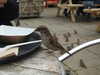 20200901153231-DSCN4362.JPG