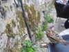 20200901153236-DSCN4363.JPG