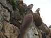 20200901153319-DSCN4367.JPG