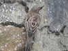 20200901153440-DSCN4368.JPG