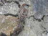 20200901153443-DSCN4369.JPG