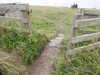 20200901155800-DSCN4386.JPG