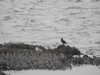 20200901160451-DSCN4415.JPG