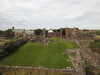 20200901161032-DSCN4433.JPG
