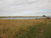 20200901161656-DSCN4446.JPG