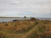 20200901161755-DSCN4447.JPG