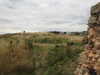 20200901162001-DSCN4456.JPG