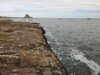 20200901162058-DSCN4457.JPG
