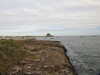 20200901162104-DSCN4459.JPG