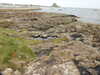 20200901162130-DSCN4461.JPG