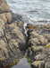20200901162214-DSCN4463.JPG