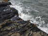 20200901162235-DSCN4466.JPG