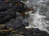 20200901162316-DSCN4471.JPG