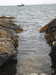 20200901162407-DSCN4472.JPG